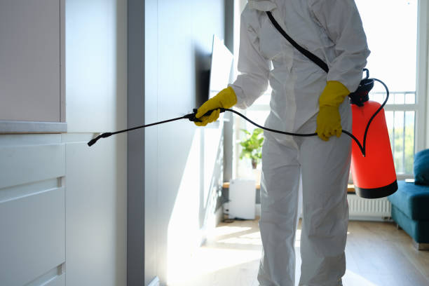 Best Residential Mold Removal  in Brilliant, AL